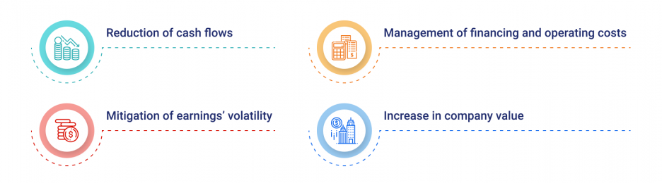 What Is Financial Risk Management Example